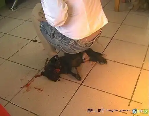 居然有这样的怨妇,残忍的虐狗,高跟鞋活活踩死