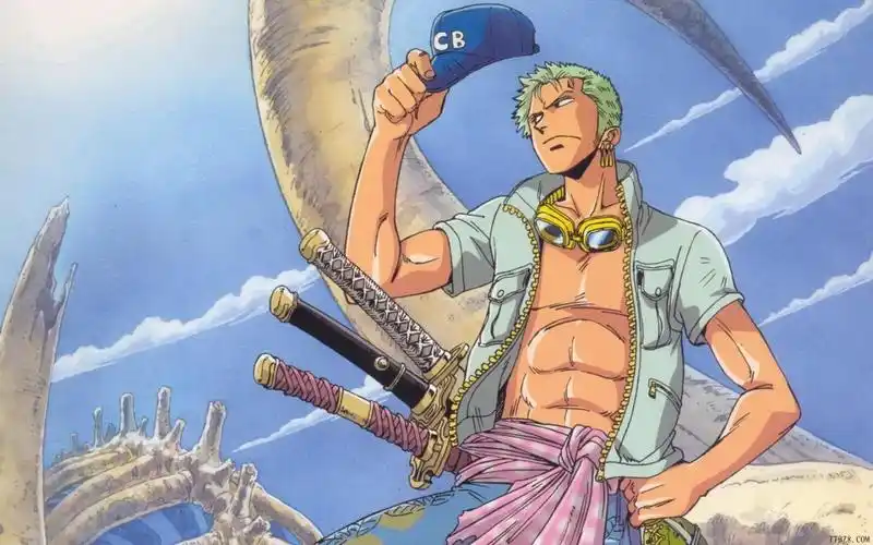 索隆,帅气!不过每次迷路的时候都太喜剧了… - 堆糖,美图壁纸兴趣社区