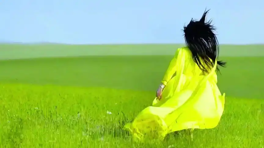 人生,需要的不是执着,而是回眸一笑的洒脱!#治愈系风景