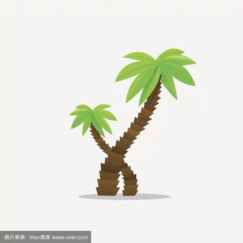 棕榈树在卡通风格孤立在白色背景矢量插图.