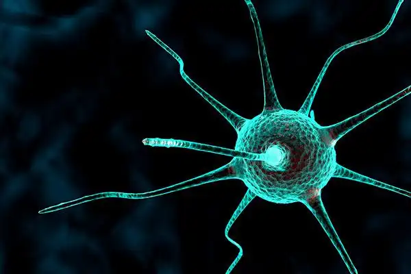 棋道素材_棋道设计素材_棋道素材大全