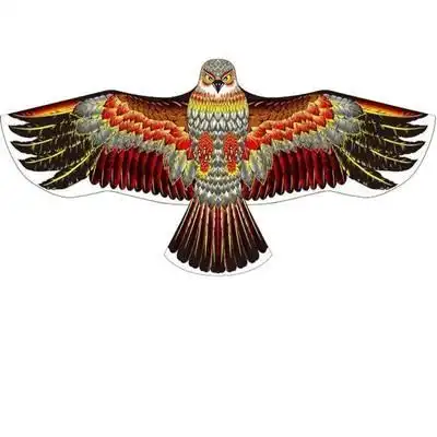 动物女生老鹰风筝大型创意新款大号成年学生风筝