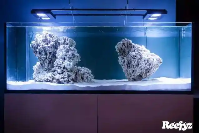 海缸造景大比拼,不一样的风格,一样的美