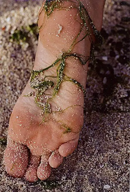 脚底图片_脚底高清图片_全景视觉