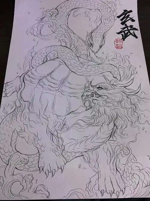 这两天画的都有点凶#临摹  #一枚小奶熊#四象神兽#四大神兽#每日绘画