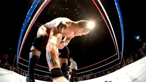 wwe兰迪·奥顿《超清图片集》(41)