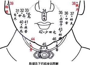 面相痣的位置与命运图解 男人面相痣的位置与命运图解