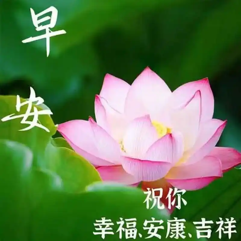 早安图片,早安问候语,愿你在今天拥有无限的快乐和成就,早安,亲爱的
