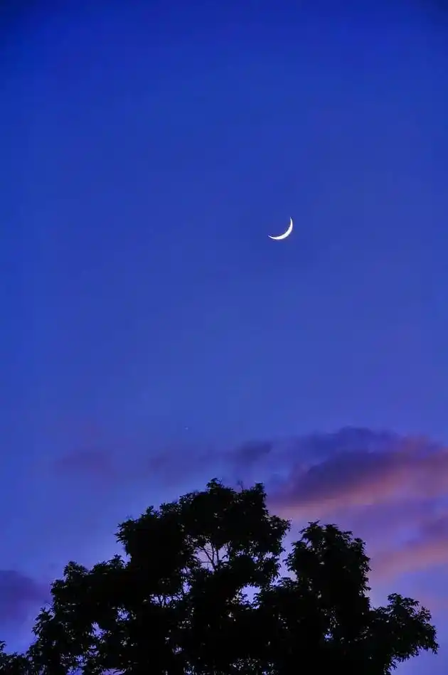 遥远的夜空,弯弯的月亮,弯弯的小桥,弯弯的小船,童年的阿娇, - 抖音