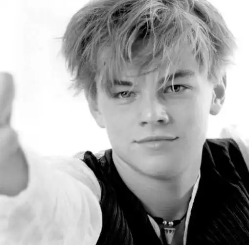 莱昂纳多 迪卡普里奥