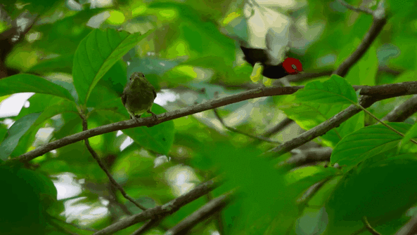 625_353gif 动态图 动图