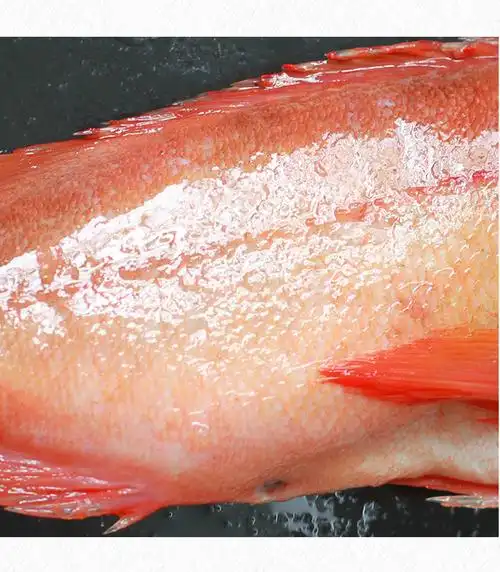 深海红鱼/条 约600g 顺丰 深海红鱼 新鲜冷冻水产深海鱼 石斑红鱼