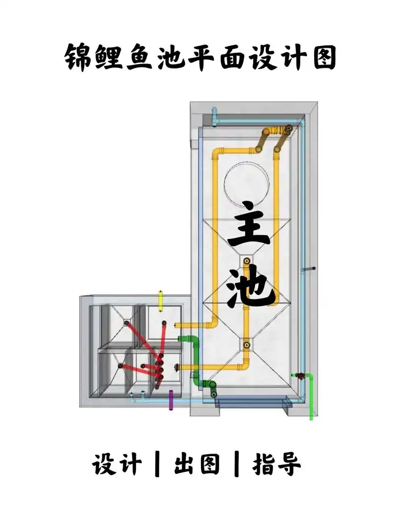 养好锦鲤,首先要一个强大的过滤系统.