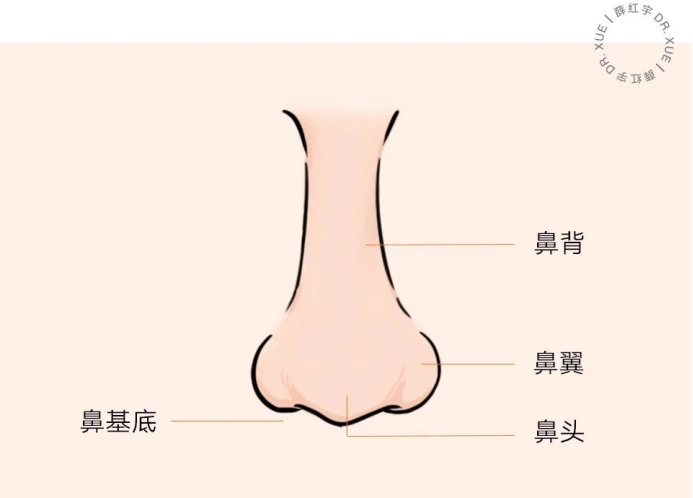 美遇 正文    以下将鼻子各部位(鼻背,鼻头,鼻翼,鼻基底)的问题依次