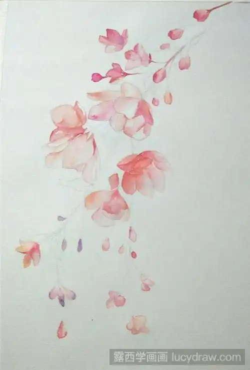 垂丝海棠水彩画教程