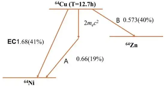 属于(      )衰变.
