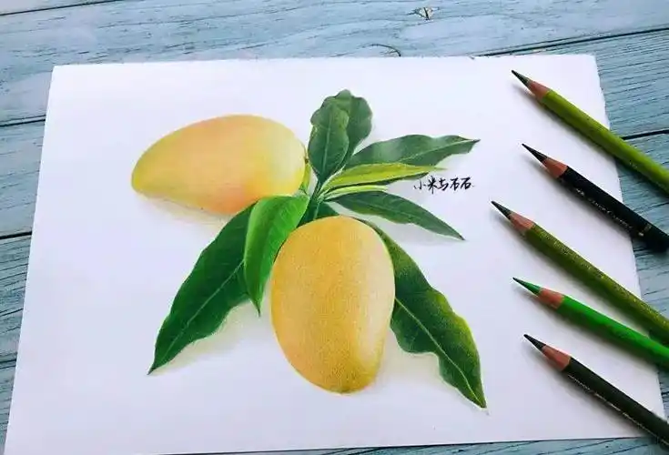 芒果简笔画 芒果简笔画彩色
