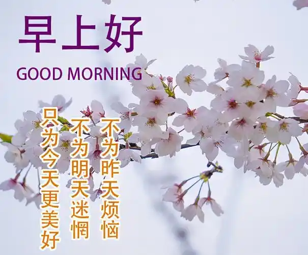2021年早上好问候语温馨图片动态表情,清晨祝福语大全带字图片-搜狐