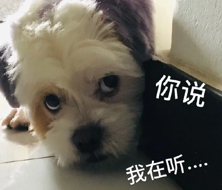 汪星人gif可爱gif搞笑gif文字表情包gif沙雕gif