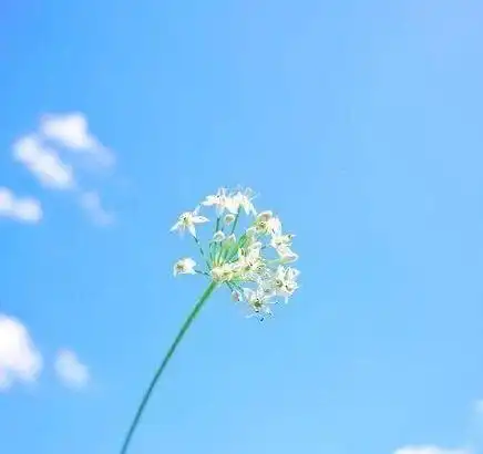 适合发朋友圈的暖暖的句子每一句话都温暖你的心灵