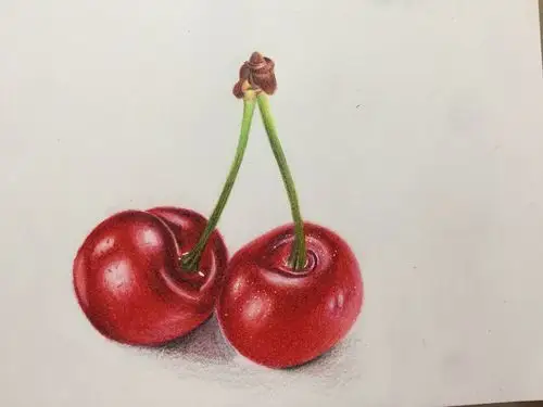 彩铅绘86---樱桃