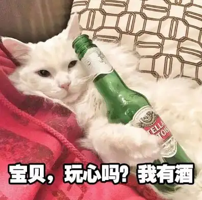 抖音猫猫喝酒表情包