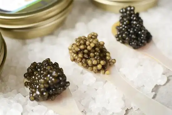 zeros(零)鱼子酱颜色深浅用0标示