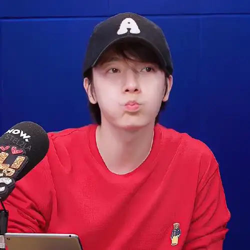 猪猪包 头像#李东海吃可爱多长大