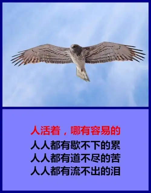 人活着没有谁是容易的句句穿心