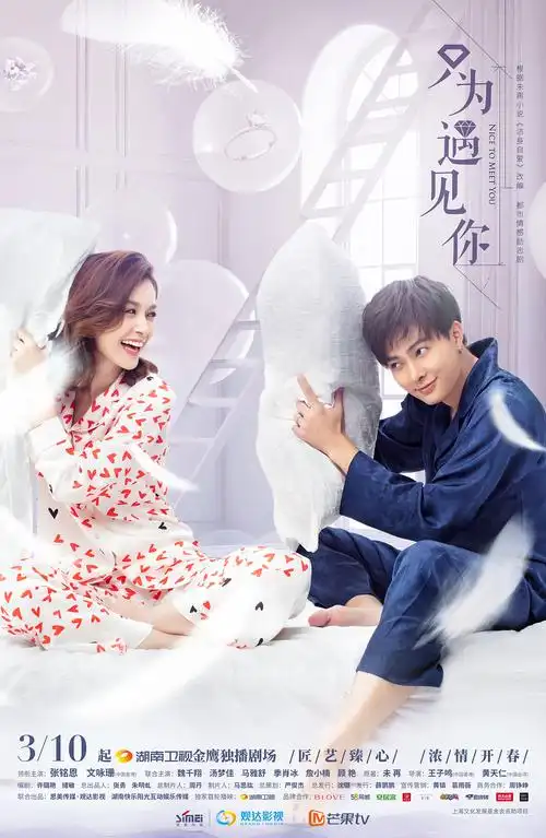 电视剧只为遇见你海报设计