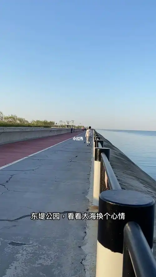 滨海生态城东堤公园