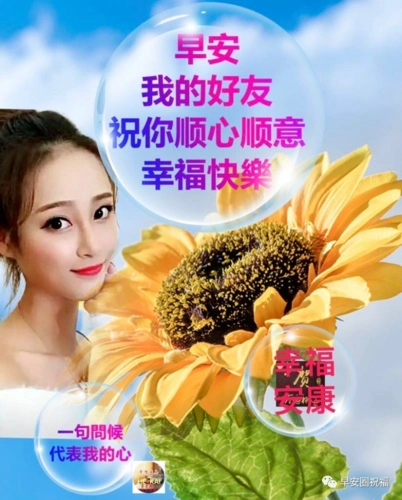 11张最新漂亮的美女早上好问候图片表情精选,冬日早安问候祝福语短信