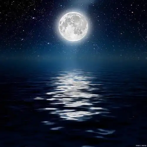 月光下的秘密 情感短文