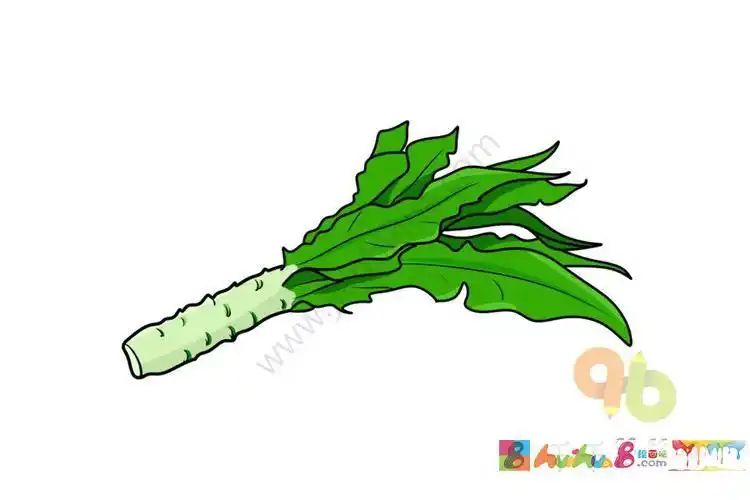笔画步骤-莴苣莴苣简笔画莴笋小时候简笔画莴笋的简笔画可爱莴苣笋简