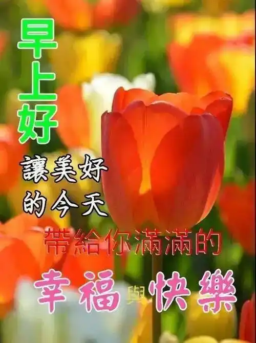 免打字的早安问候语图片_人生_阳光_是一种