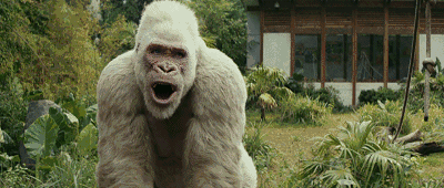 400_170gif 动态图 动图