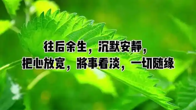 往后余生,沉默安静,把心放宽,将事看淡,一切随缘-情感视频-搜狐视频