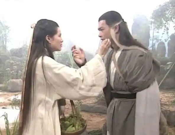 神雕侠侣:十六年后,绝情谷底,小龙女到底在玉蜂翅上刻了什么字