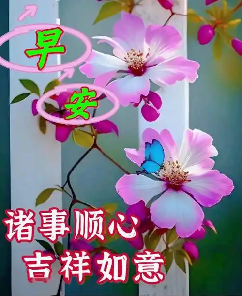 微信漂亮早安祝福问候语大全,祝大家平安,健康,快乐!