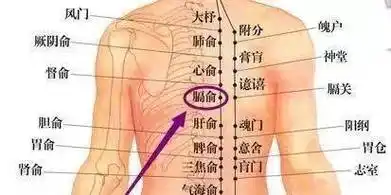 乳腺增生怕刮痧刮着刮着就软了