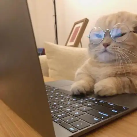 动物看电脑的头像 动物头像图片大全 -【爱个性】