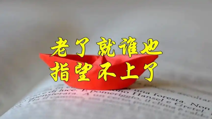 老了谁也指望不上了(听哭了)