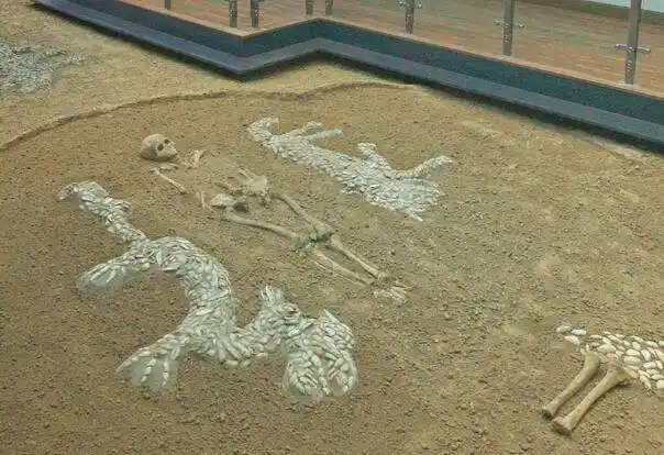 "走近河南"3:濮阳 中华第一龙