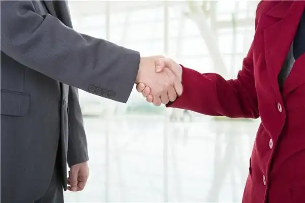 男女握手_男女握手图片