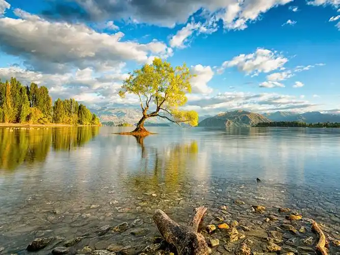 心灵是一方广袤的天空,它包容着世间的一切;心灵是一片宁静的湖水