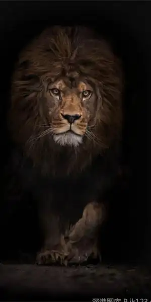 黑色背景炫酷手机壁纸_找到属于你的风格