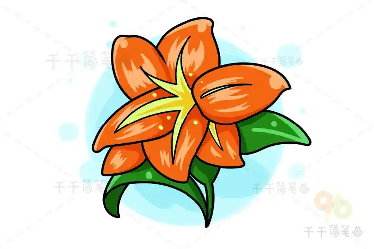 怎么画君子兰简笔画