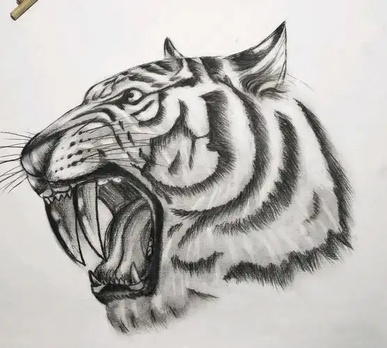 虎头手稿_纹身图案手稿图片_big baby 的纹身作品集