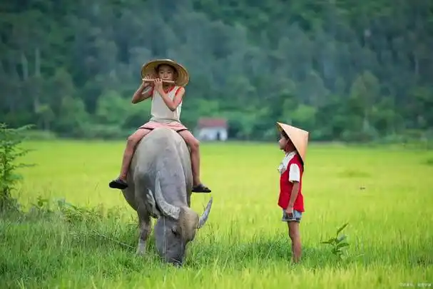 河南鲁山雕塑事件:牛郎的忠厚和善良,好像没有遗传给他的子孙们