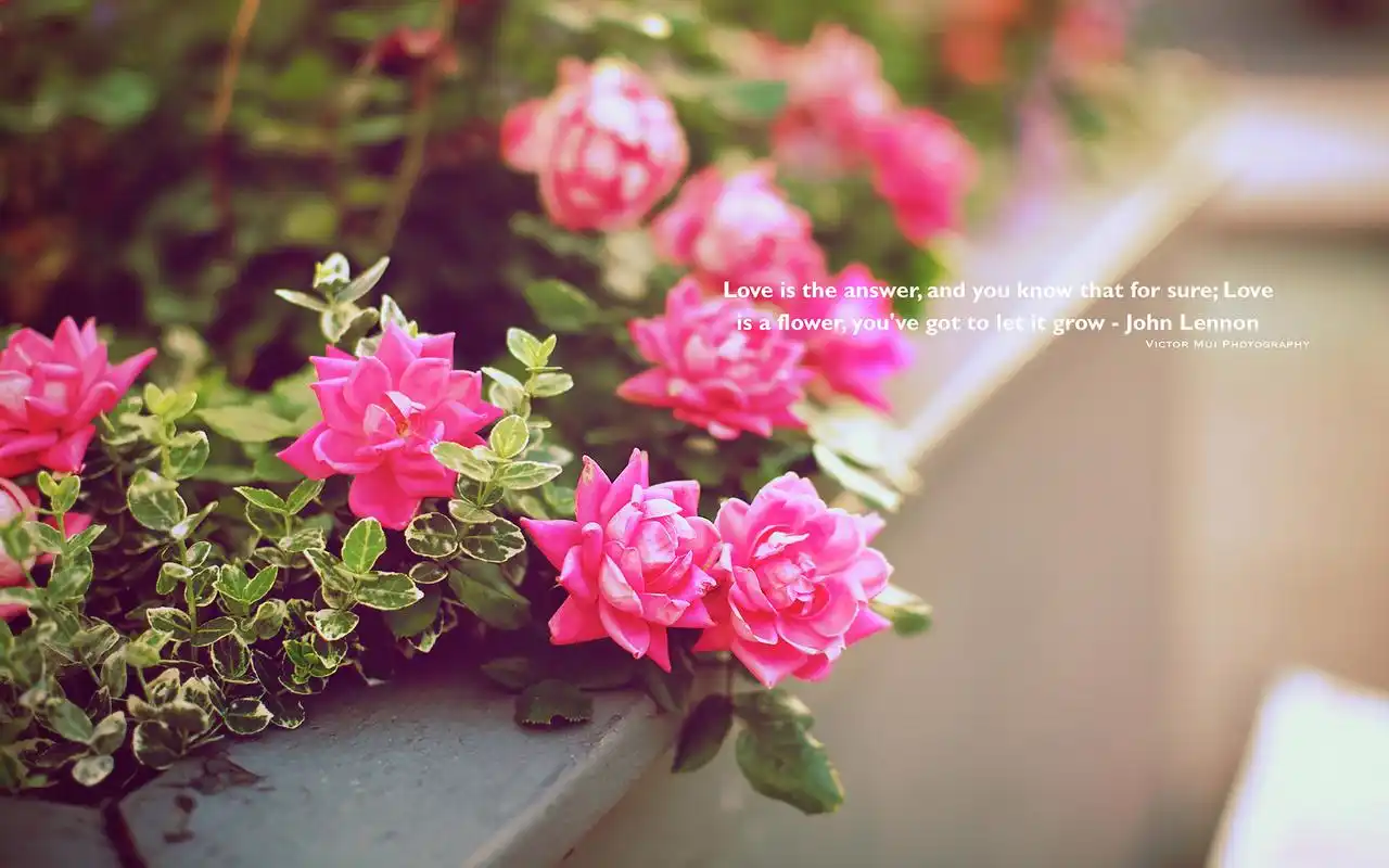 安静唯美的意境图片桌面壁纸